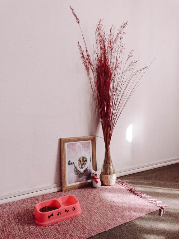 How to Set Up a Cozy, Pet-Friendly Home Corner